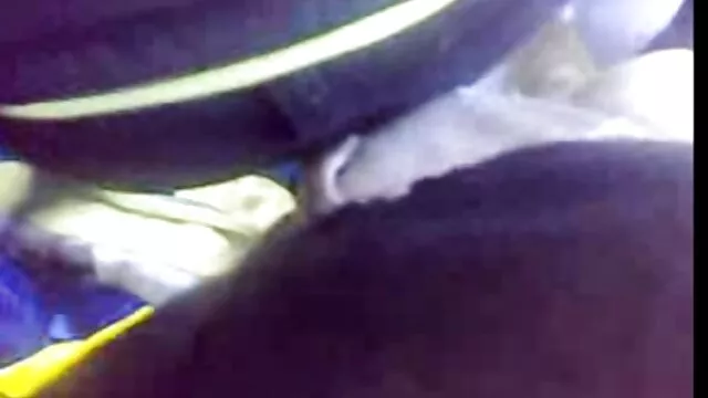3 porn video