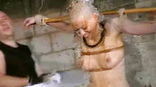 3 porn video